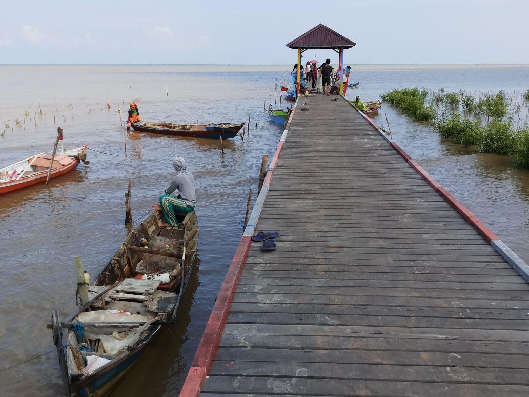  Wisata Bakau di Desa Pagatan Besar Kalimantan Selatan