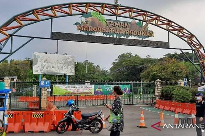  Mulai Hari Ini Taman Margasatwa Ragunan Kembali Dibuka Perdana 