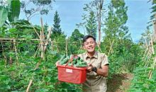 Nara Puncak Kembangkan Pertanian Organik Integrated Farming System 