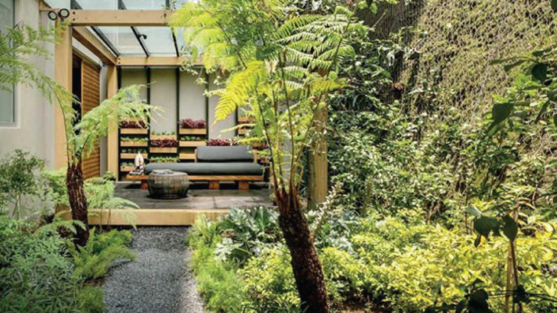  Tips Mewujudkan Rumah Sehat dan Ramah Lingkungan di Tengah Gaya Hidup Urban