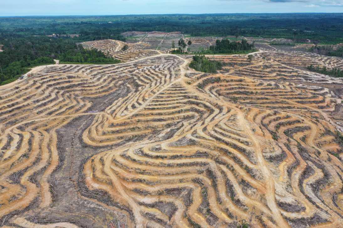  WALHI Ingatkan Bahaya Pilkada Tidak Langsung: Oligarki Menguat, Izin SDA Bisa Diobral