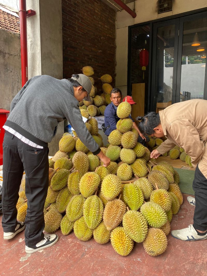 WhatsApp Image 2025-01-10 at 11-18-41