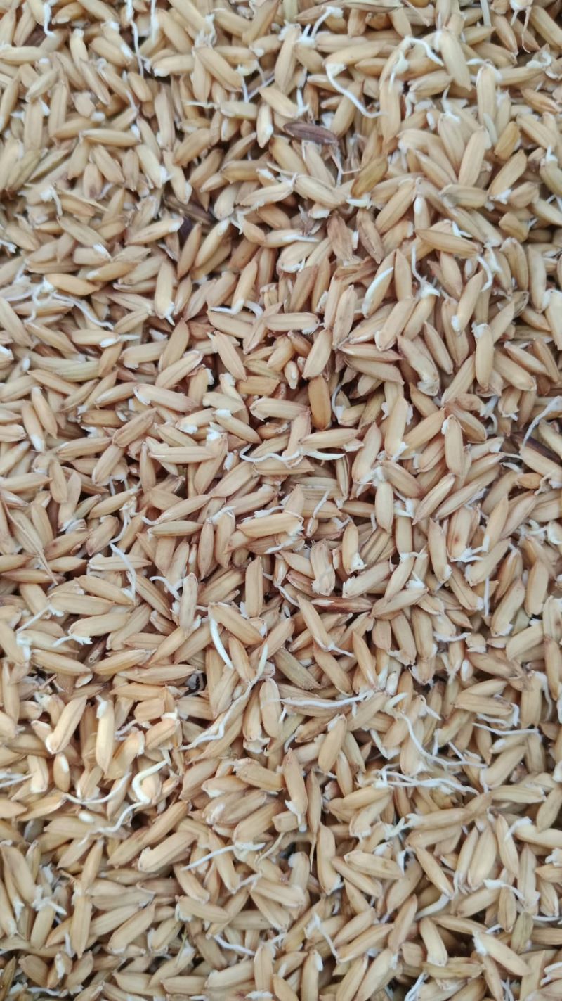 WhatsApp Image 2025-02-15 at 15-41-03