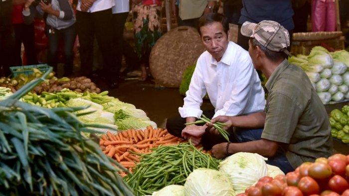  Ini Pengamatan Langsung Presiden di Pasar Tradisional