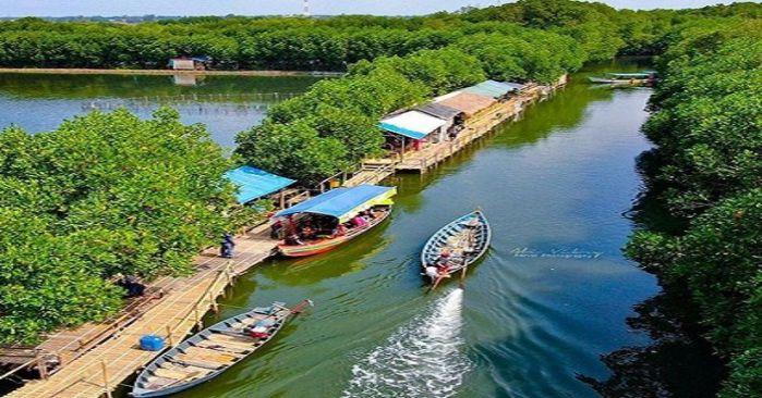  Libur Lebaran? Yuk, Jelajah Ekowisata Mangrove Sungai Rindu Aja....