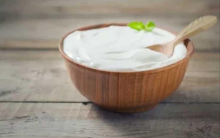 Serat dan Yogurt Bantu Turunkan Risiko Kena Kanker Paru