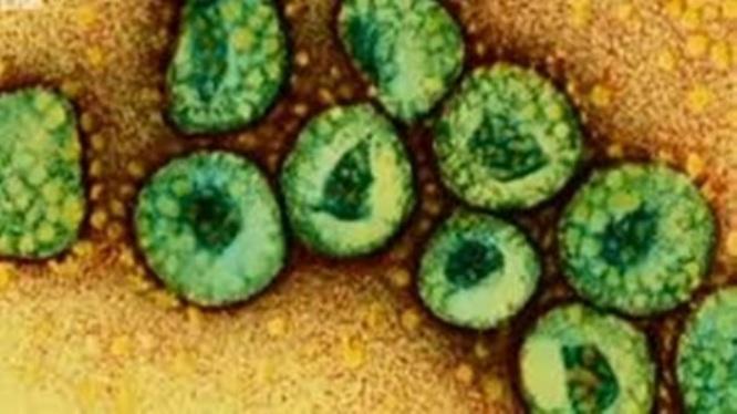  Waspadai, WHO Peringatkan Virus China Berpotensi Menyebar 