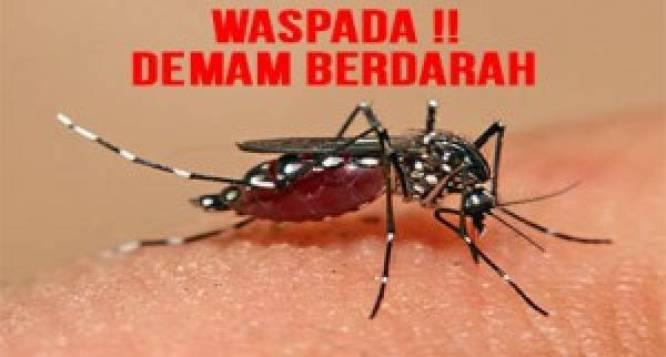  Selama PSBB, Masyarakat Diminta untuk Waspadai DBD