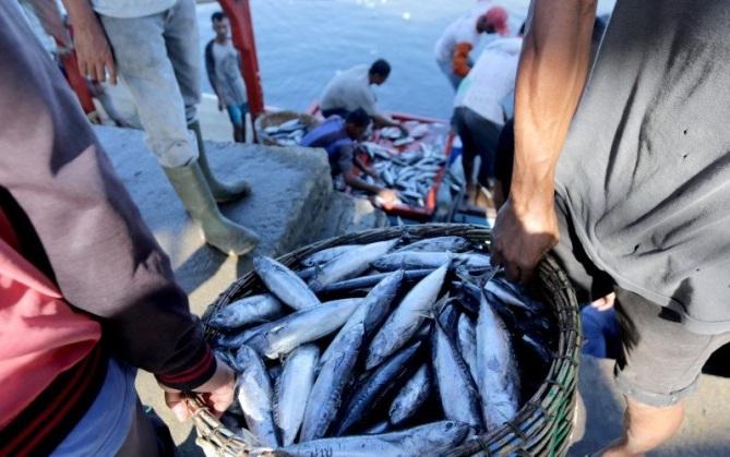  Permintaan Signifikan, Indonesia Berpeluang  Jadi Lumbung Pangan Dunia