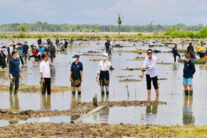  SMRC Sebut Pengamat Luar Negeri Apresiasi Jokowi di Sektor Pembangunan