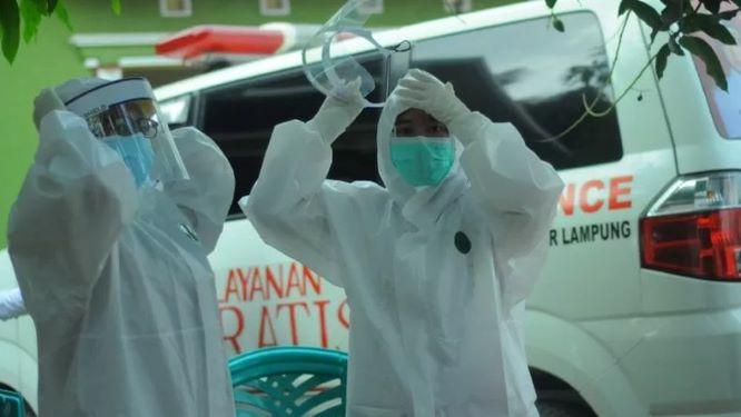  Kasus COVID-19 Hari Ini Bertambah 559 Orang