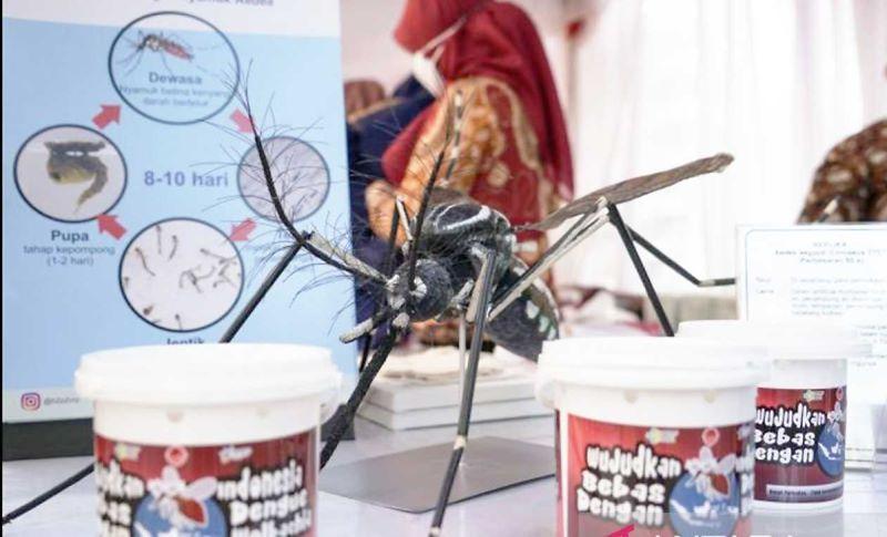  Kemenkes Mencatat 455 Kematian akibat DBD hingga Minggu ke-14 Tahun 2024