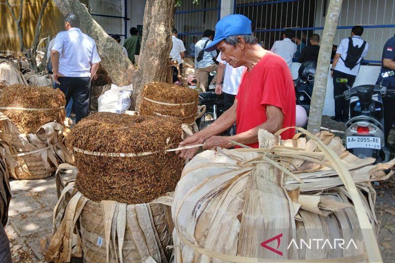 DPRD Temanggung Minta Pabrik Rokok Beli Tembakau dari Petani saat Panen Raya