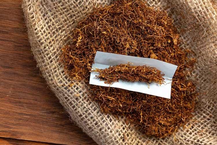  Industri Tembakau Pertanyakan Wacana Kebijakan Kemasan Polos