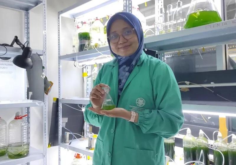 BRIN Ungkap Lima Kelompok Keong Indonesia Berpotensi Jadi Obat Herbal