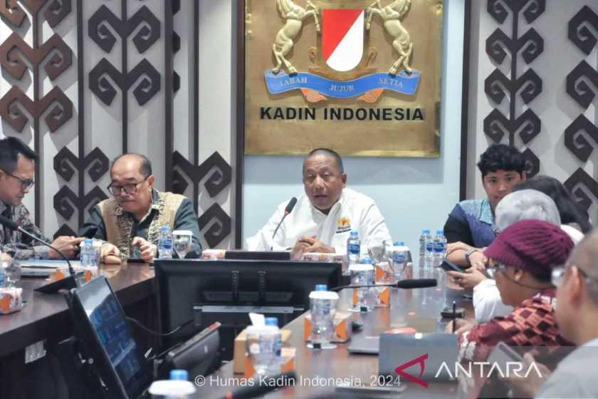  Atasi Tarif AS, Kadin Sarankan Pemerintah Perkuat Pendekatan ke AS 