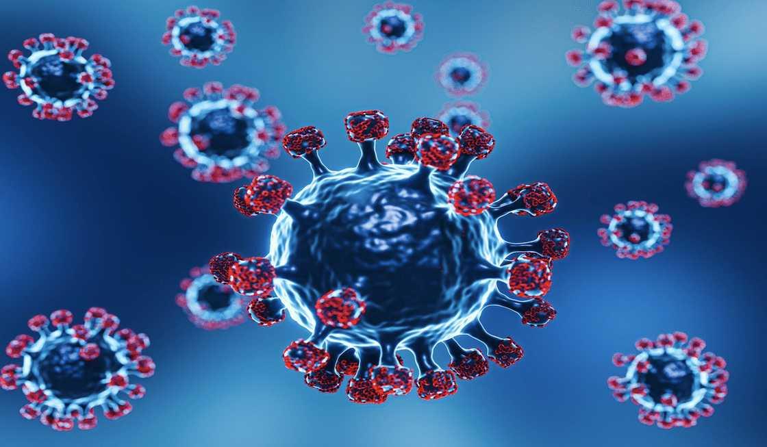  Lima Fakta Penting yang Perlu Diketahui tentang Varian Stratus