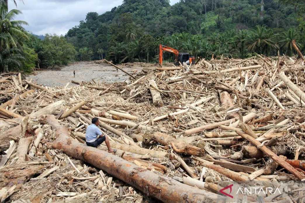  Kemenhut Telusuri Jejak Kayu Banjir Sumatera: Indikasi Pembalakan dan Kayu Ilegal Diusut Tuntas