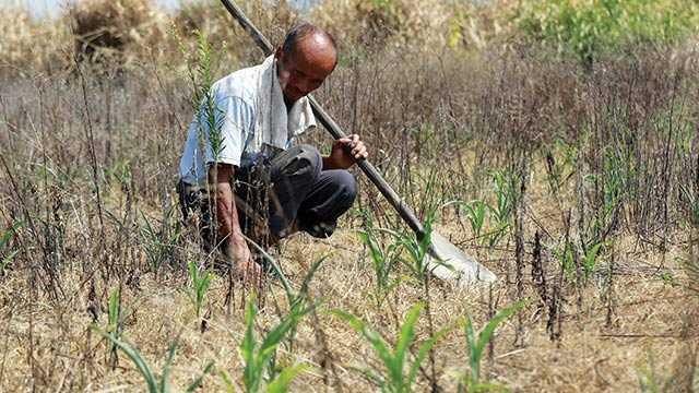  Krisis Berlapis di Indonesia: Ketika Iklim Mengguncang Pangan, Energi, dan Ekonomi Warga