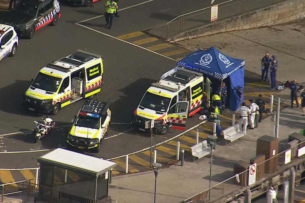  Aksi Heroik Teman dan Polisi Selamatkan Bocah Korban Serangan Hiu di Sydney Harbour