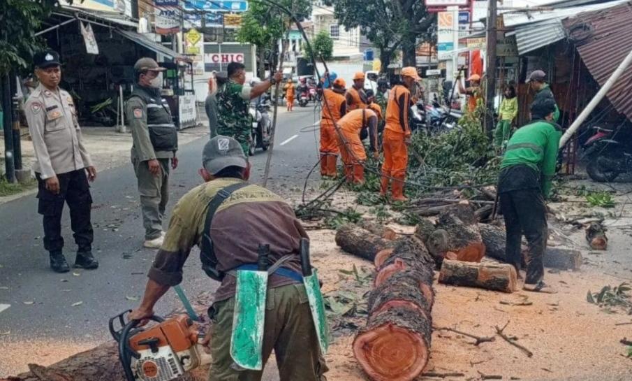  Petugas Gabungan Evakuasi 4 Pohon Tumbang Akibat Hujan Deras di Jakarta Timur